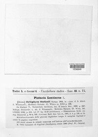 Image Associated With the Occurence